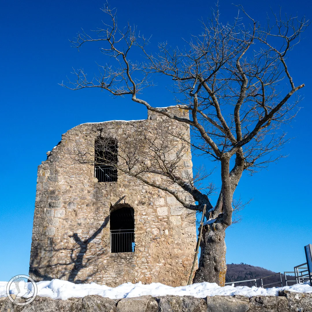 Burgruine Neideck