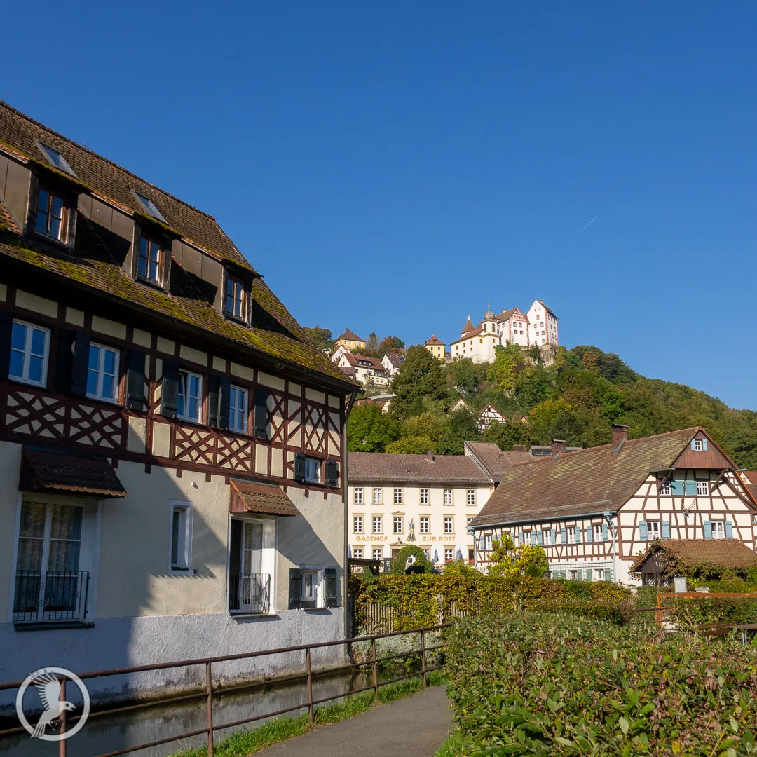 Blick von der Stadt aus zur Burg Egloffstein