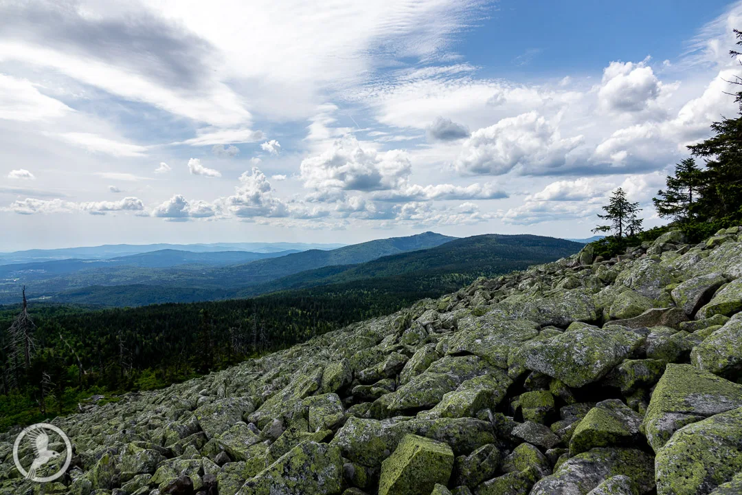 Blick vom Lusen