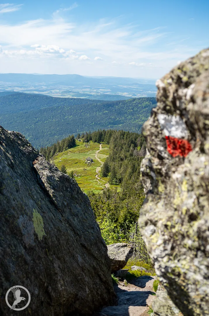 Blick von den Osserweisen ins Tal