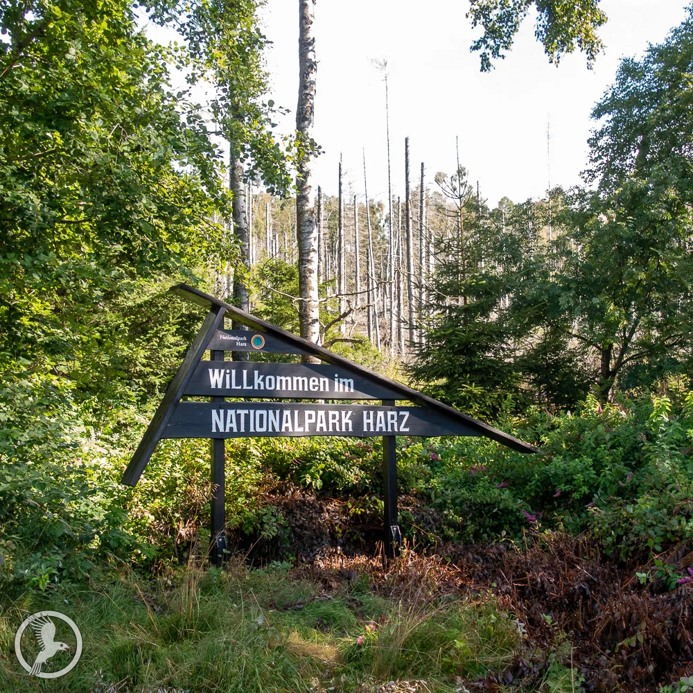 Nationalpark Harz